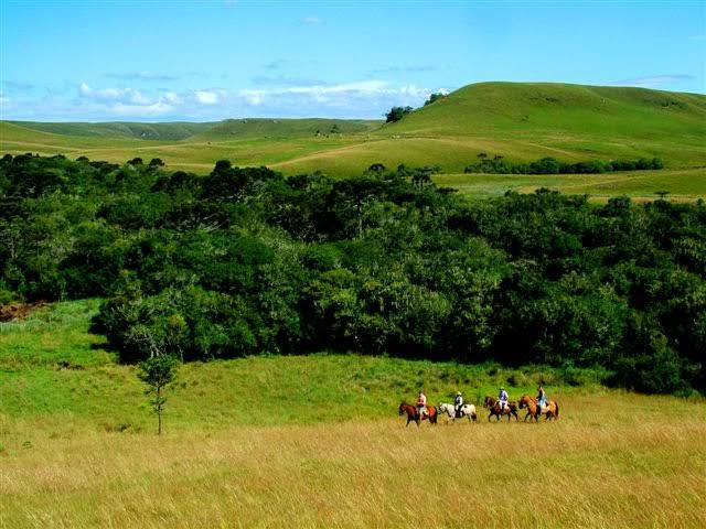campos de cima da serra brasil rio grande do sul